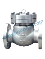 ANSI/DIN stainless steel flange swing check valve